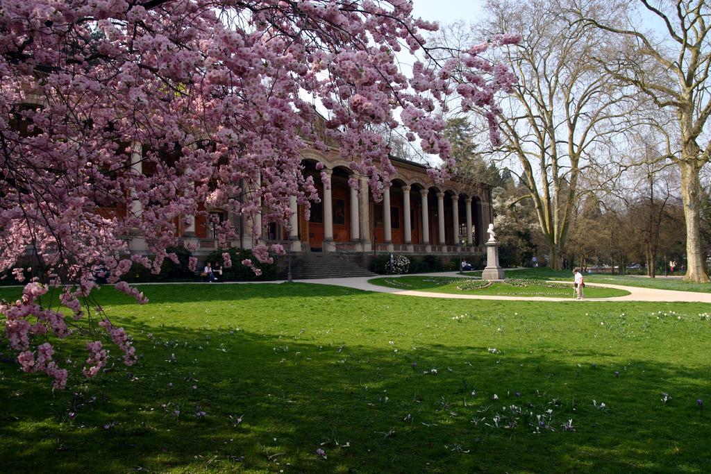 Apparthaus Pfeifer Baden-Baden Bagian luar foto